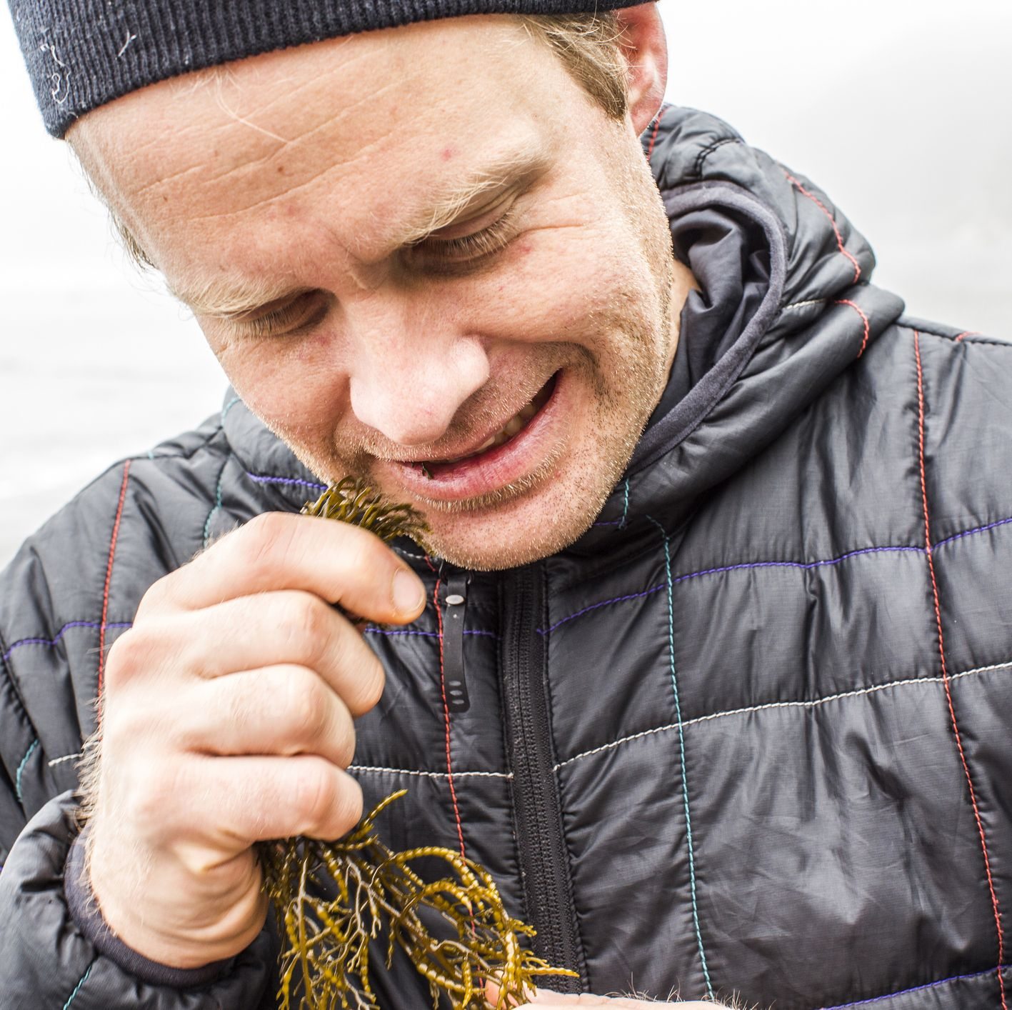 Irish Sea Moss Is the Popular Supplement You Definitely Don’t Need