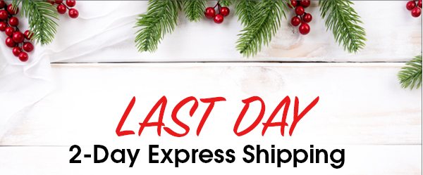 Last Day 2-Day Express Shipping