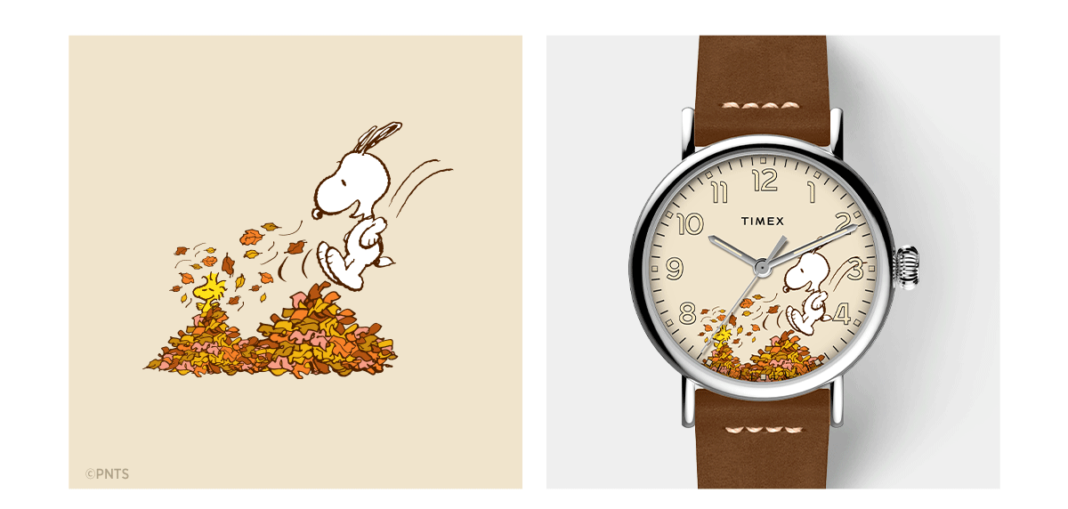 Give thanks with Snoopy and Woodstock - Timex Email Archive