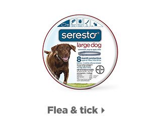 Flea & tick.