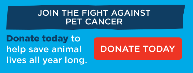 Donate to Join the Fight Against Pet Cancer.