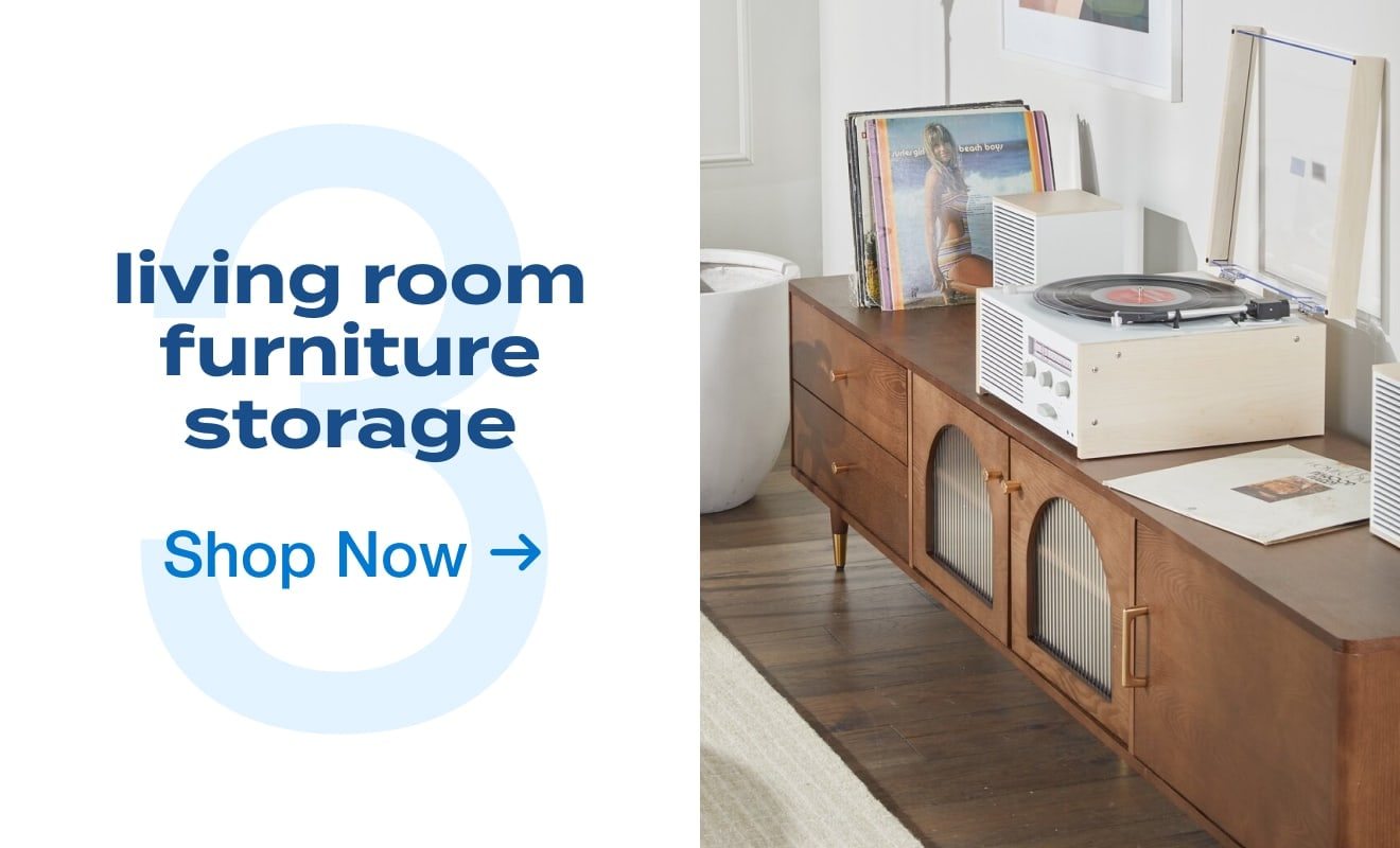 3 Living Room Storage Furniture