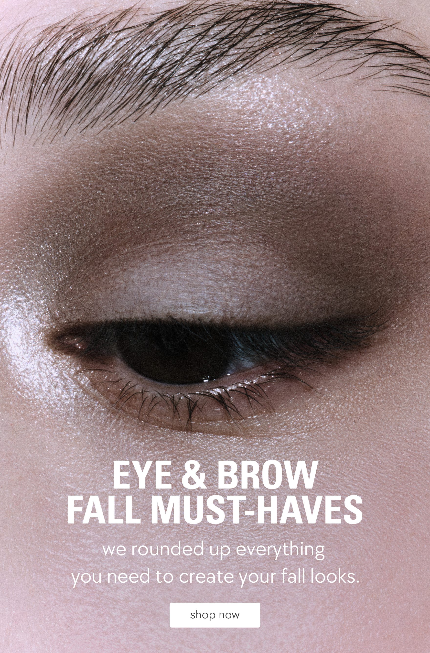 shop eye & brow fall must-haves