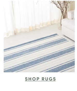 Shop Rugs