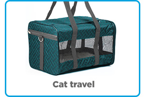 Cat travel. 