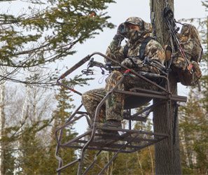 Tree Stands