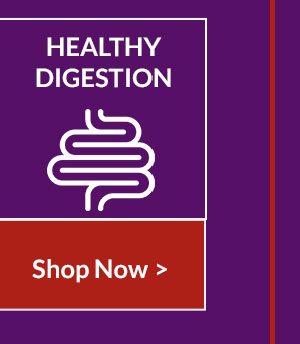 Healthy Digestion