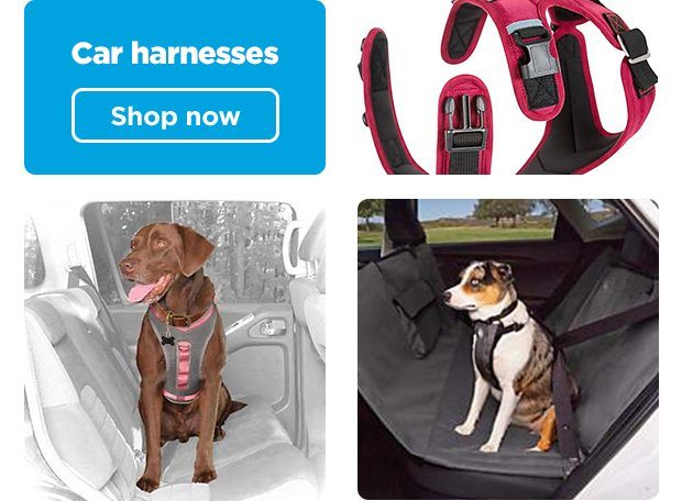 Car harness. Shop now.