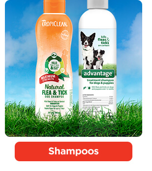 Shampoos.