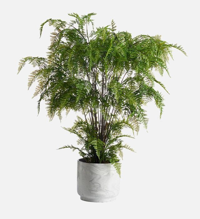 Peony Artificial Ferns in Marble Pot