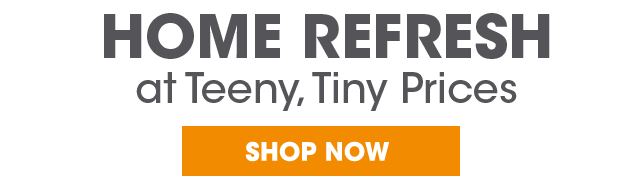 Home Refresh at Teeny, Tiny Prices - Shop Now