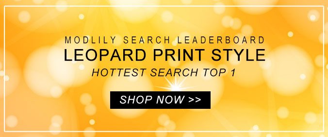 Modlily Search Leaderboard