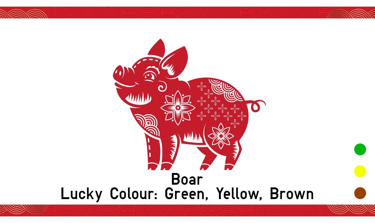 Boar Lucky Colour