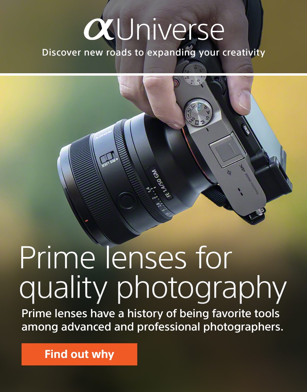 Prime lenses for quality photography | Prime lenses have a history of being favorite tools among advanced and professional photographers. | Find out