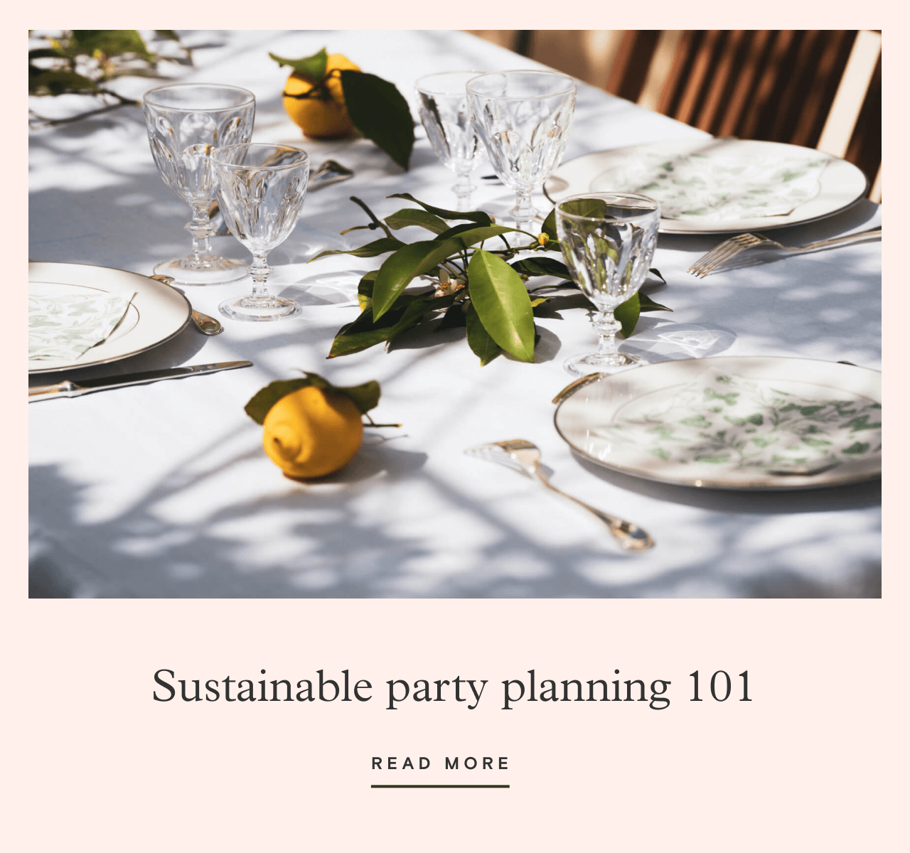 Sustainable party planning 101