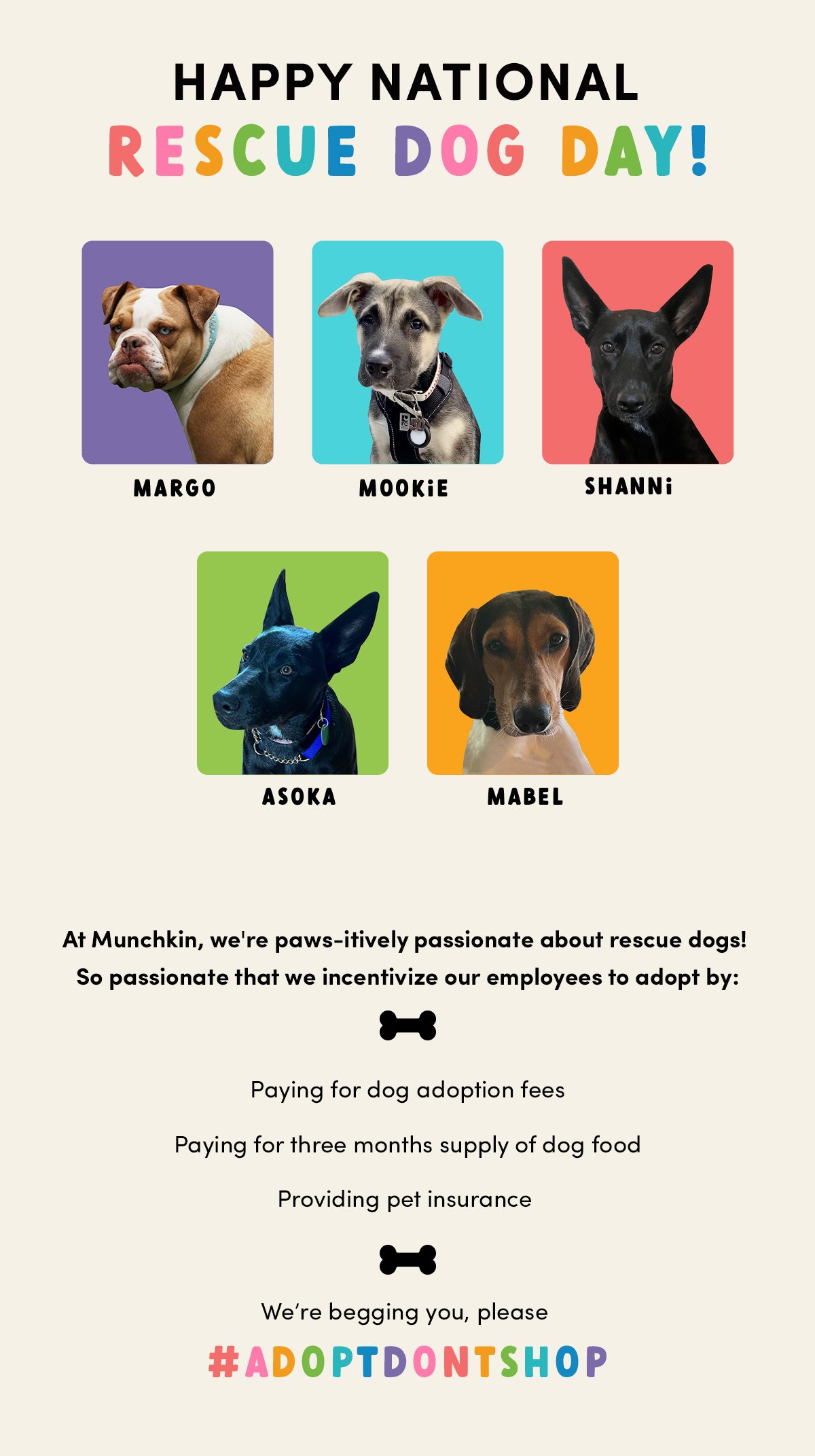Happy national rescue dog day