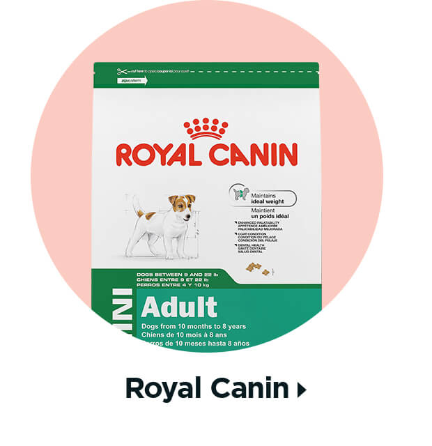 Royal Canin.