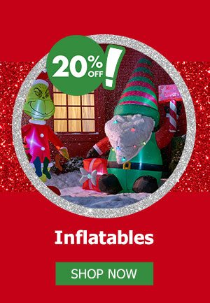 20% Off Inflatables