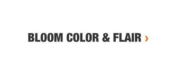 Bloom Color & Flair