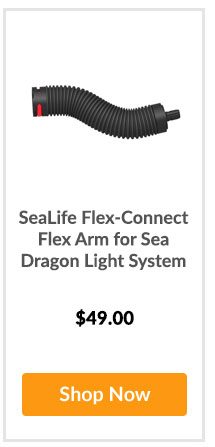 SeaLife Flex-Connect Flex Arm for Sea Dragon Light System - Shop Now