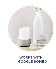 Works With Google Home