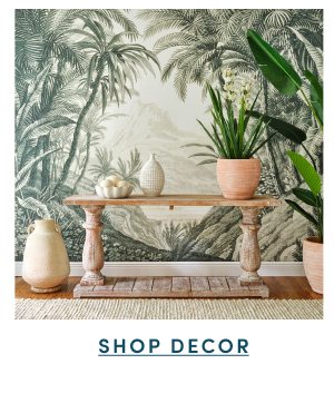 Shop Decor