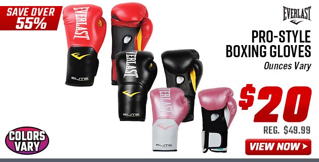 EVERLAST Pro-Style Boxing Gloves 