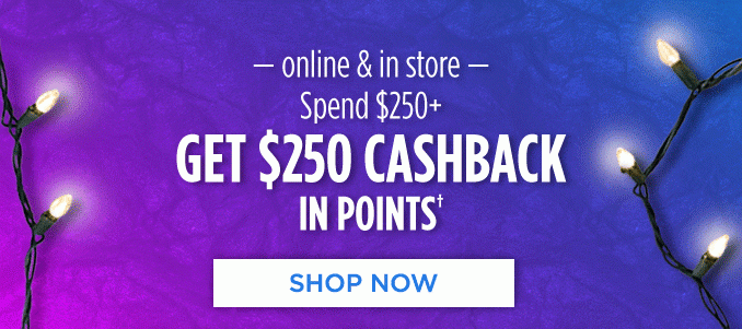 - online & in store - Spend $250+ GET $250 CASHBACK IN POINTS† | SHOP NOW