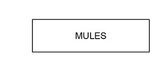 MULES