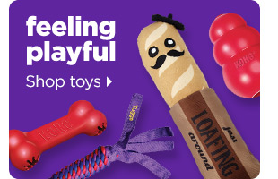 Feeling playful. Shop toys >
