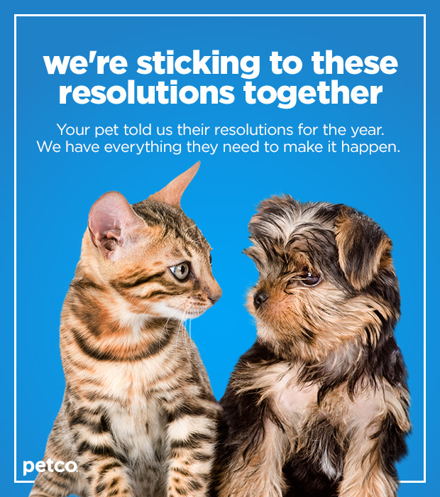 We're sticking to these resolutions together. Your pet told us their resolutions for the year. We have everything they need to make it happen.
