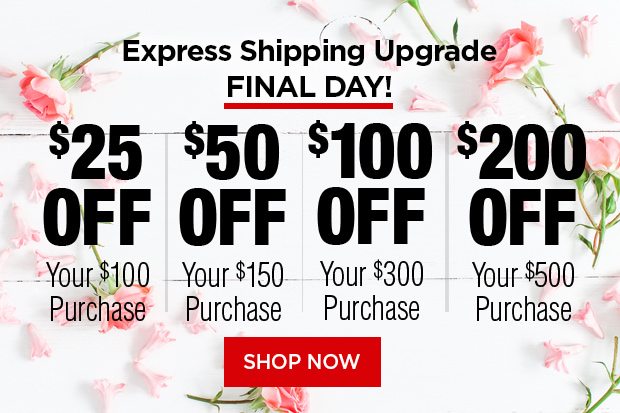 Save BIG and upgrade to Express Shipping for no extra charge!