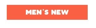 Men's New