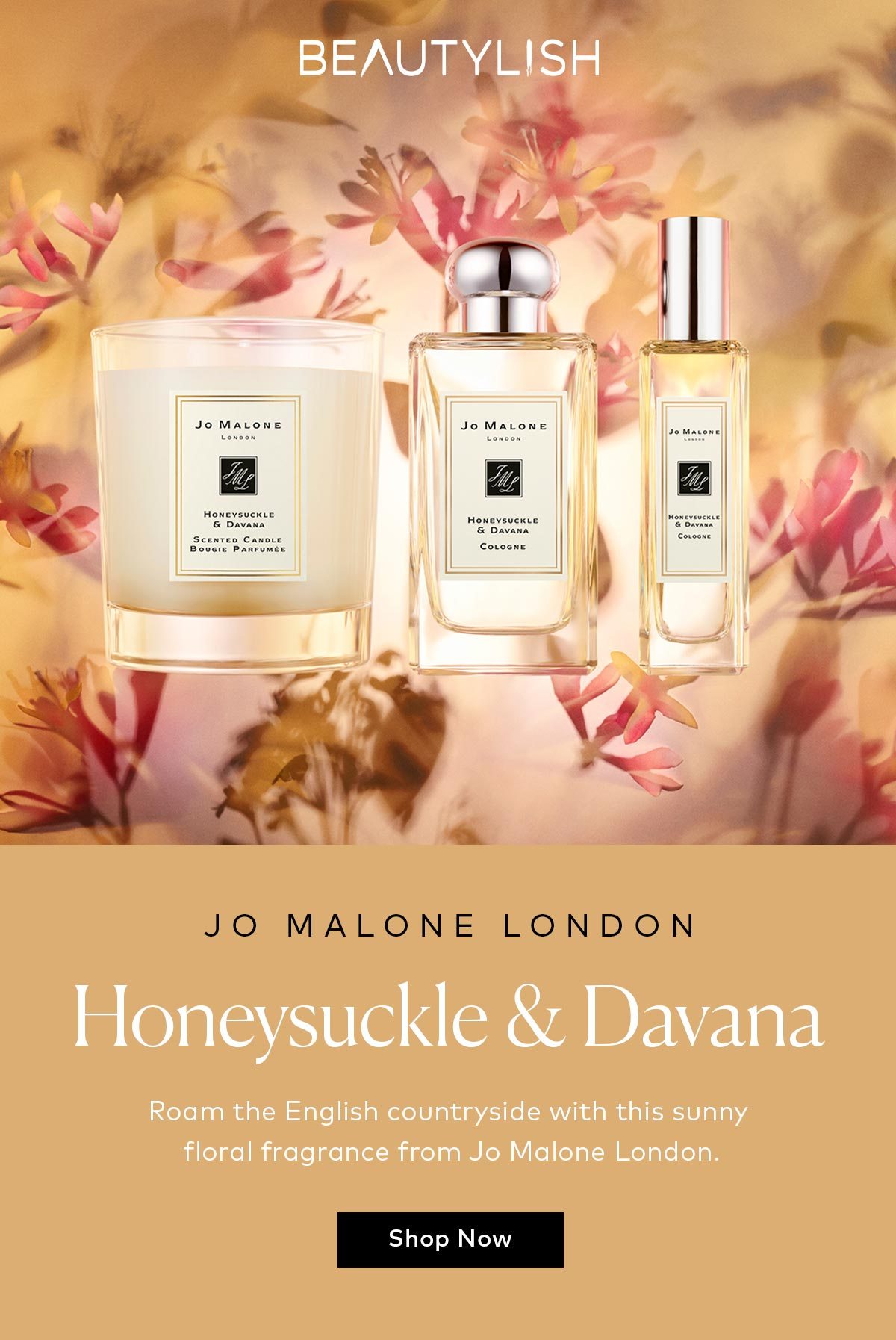 Jo malone archive scents hot sale