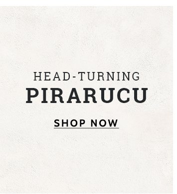 Shop Pirarucu Boots »