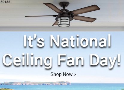 It S National Ceiling Fan Day Save Big On Fanimation