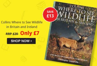 Collins Where to See Wildlife in Britain and Ireland