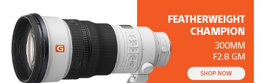 Featherweight Champion | 300mm F2.8 GM | Shop now