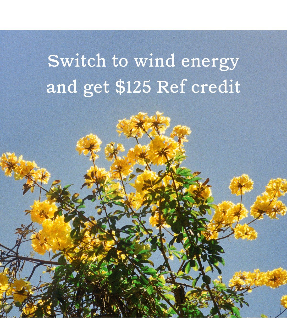 Switch to wind energy