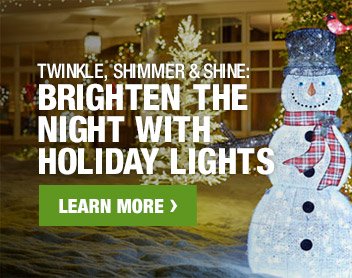TWINKLE, SHIMMER & SHINE: BRIGHTEN THE NIGHT WITH HOLIDAY LIGHTS LEARN MORE