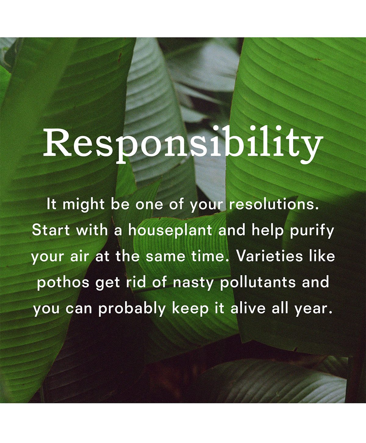 Responsibility 