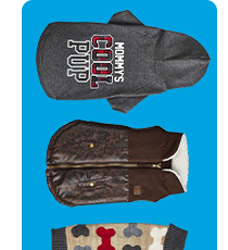 Shop dog apparel >