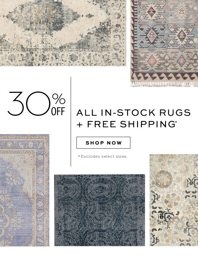 30% OFF ALL IN-STOCK RUGS + FREE SHIPPING