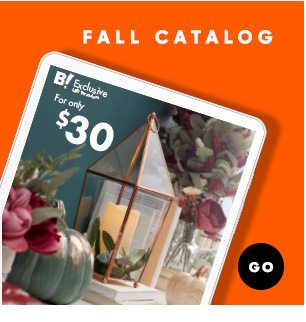Fall Catalog