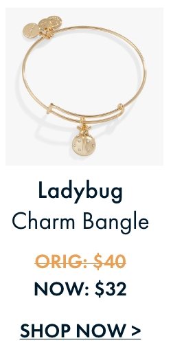 Ladybug Charm Bangle | $32