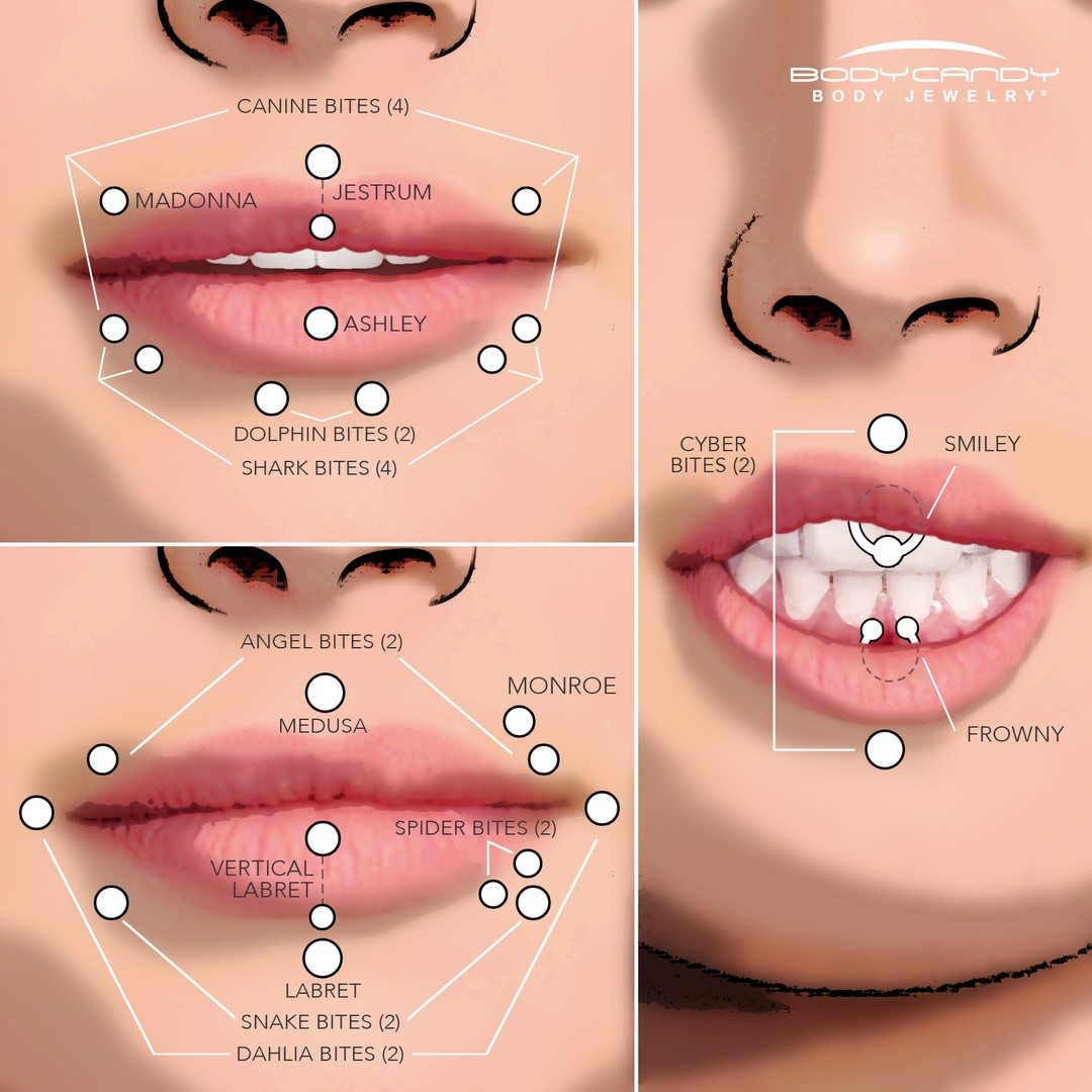 The Piercing Dictionary (With Pictures!): Facial & Lip Piercings