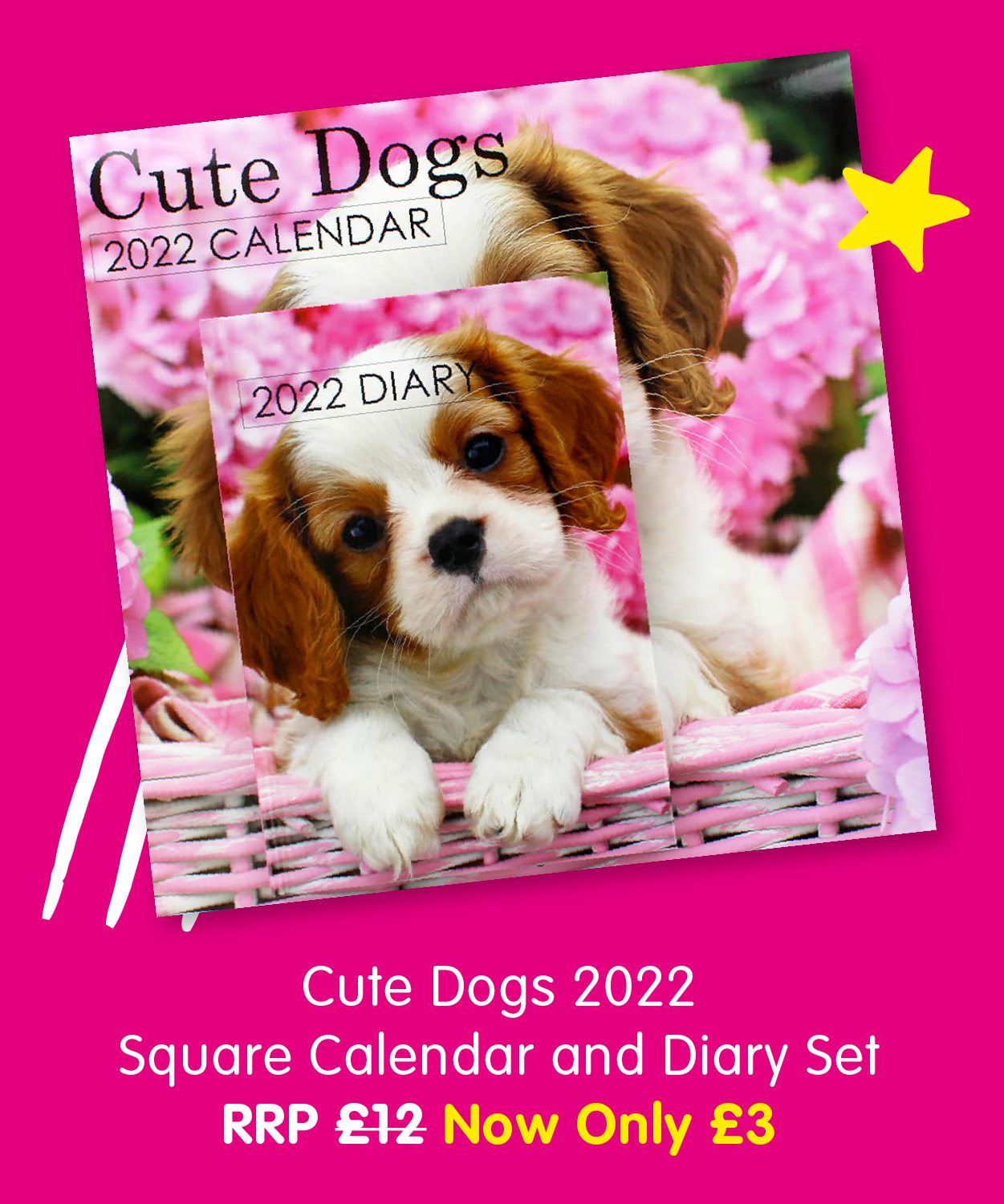 Cute Dogs 2022 Square Calendar and Diary Set