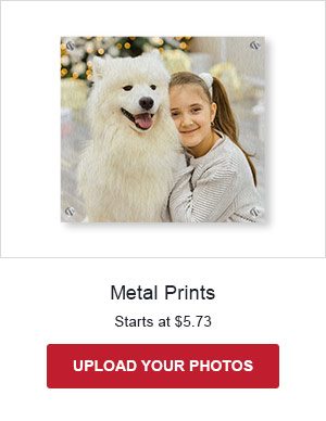 Metal Prints