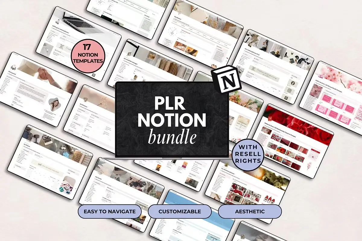 PLR Notion