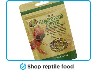 Shop reptile food.